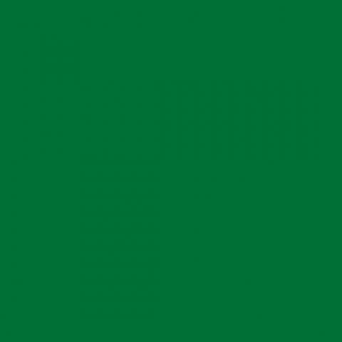 9561BS - Oxide Green